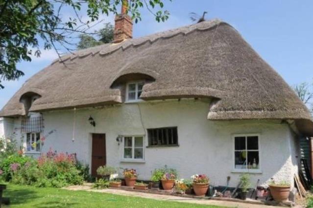 Melbourn Entire Thatched Cottage מראה חיצוני תמונה